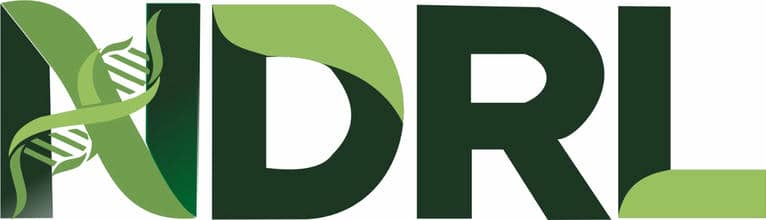 NDRL Logo